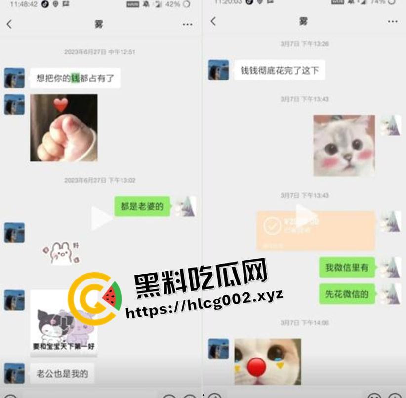 纯爱不死!王者荣耀国服梦琪【肥猫】【谭竹】事件全梳理 两年转账51万后被PUA至死 谭竹被打视频流出?正义开盒-13