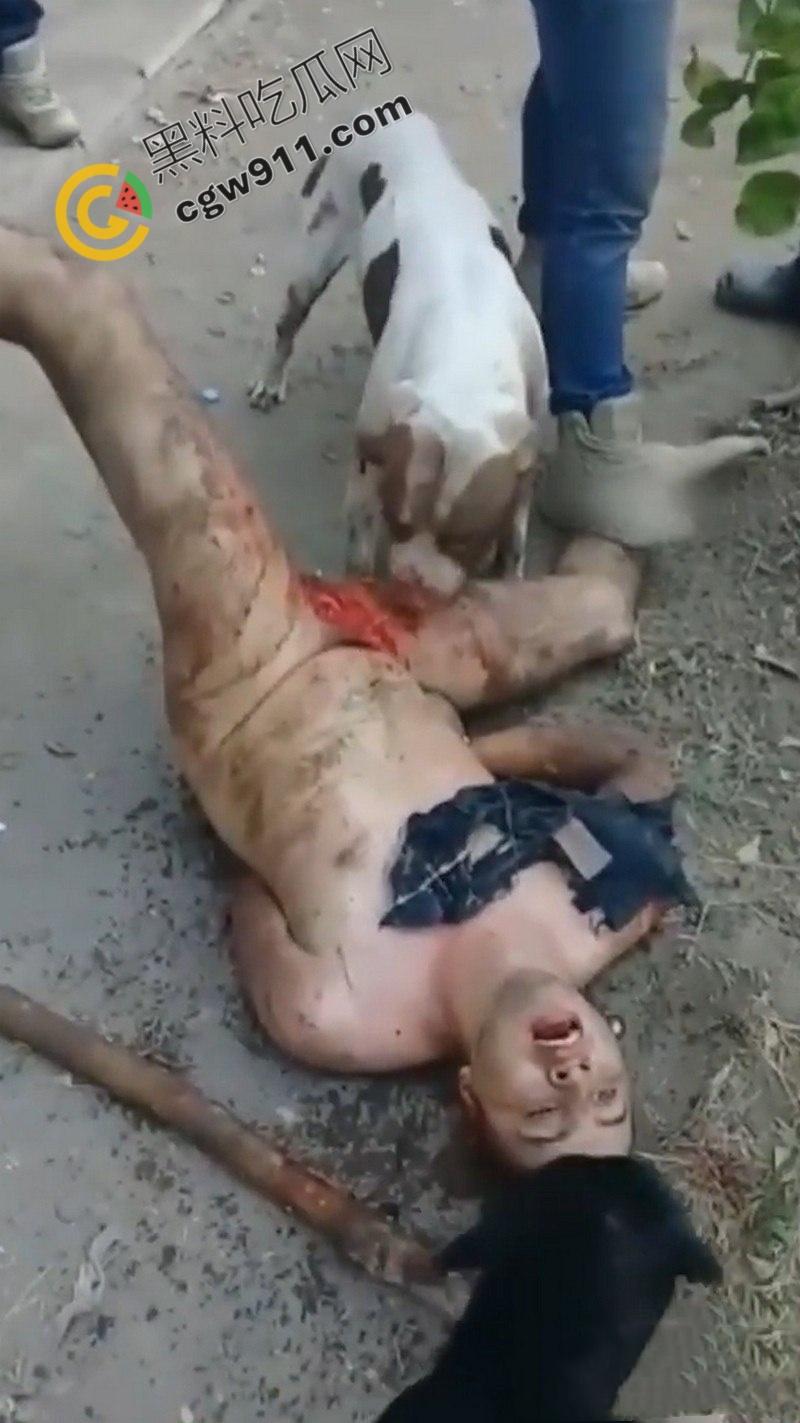 墨西哥城黑帮刑事件:裸男遭受斗牛犬撕咬生吞下体生殖器,画面血腥到令人作呕!-4