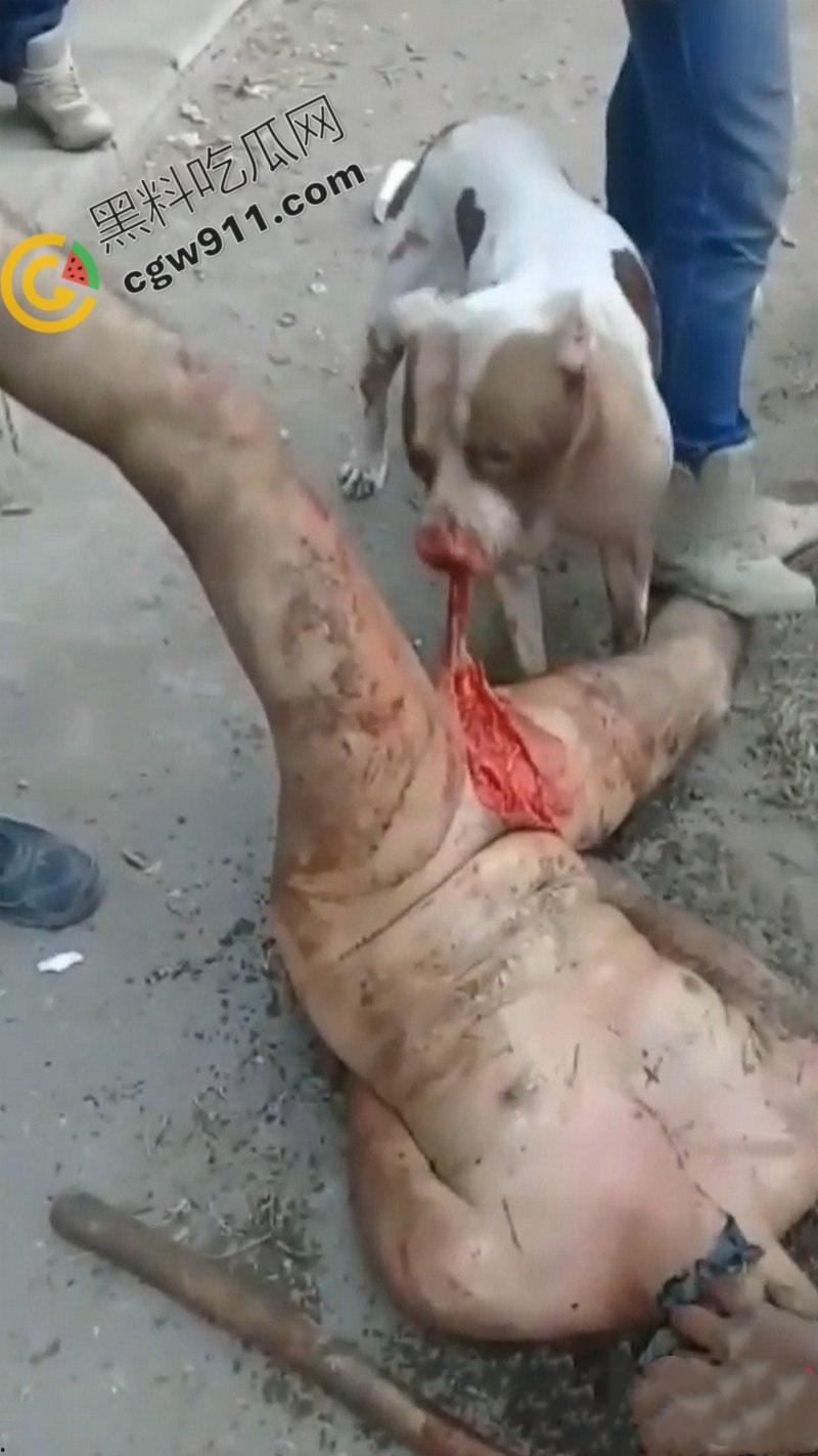 墨西哥城黑帮刑事件:裸男遭受斗牛犬撕咬生吞下体生殖器,画面血腥到令人作呕!-5