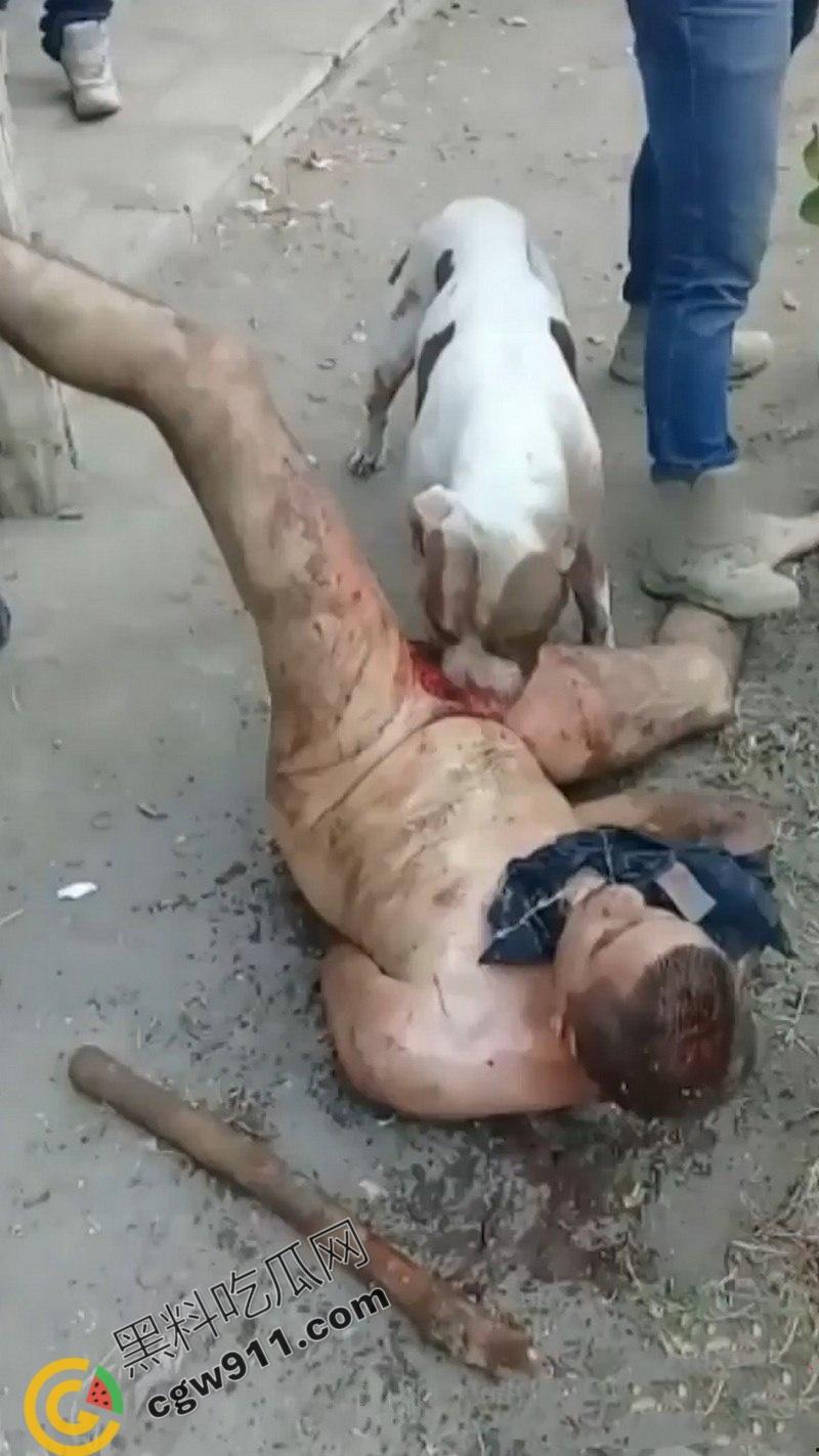 墨西哥城黑帮刑事件:裸男遭受斗牛犬撕咬生吞下体生殖器,画面血腥到令人作呕!-7