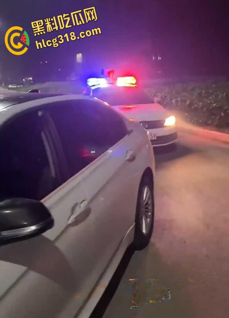 偷狗贼改偷猫了,一晚上偷窃十几只猫, 被路人几兄弟抓获, 报警后偷猫者声称第一次 !-1