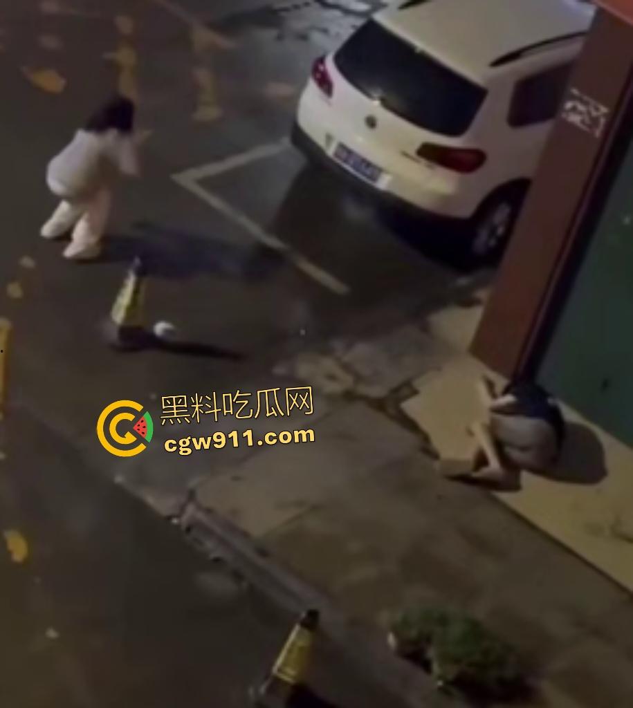 广西南宁情侣夜晚扰民,女友疯魔石头砸豪车,男友坐地被一脚踢喉管倒地,女友还补刀狂踹,不踢死不罢休!-8
