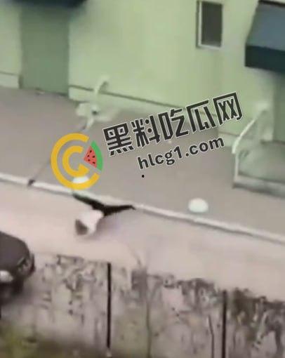 大连公安局交警支队政委张一辉在办公室九楼跳楼自杀，有人说畏罪自杀有人说被人所逼，瓜友们怎么看-2