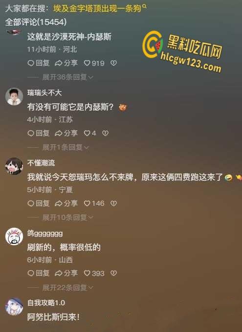 狗狗硬爬126米金字塔顶,狂吠耍帅当“法老”,稳稳下塔震惊全球!-2