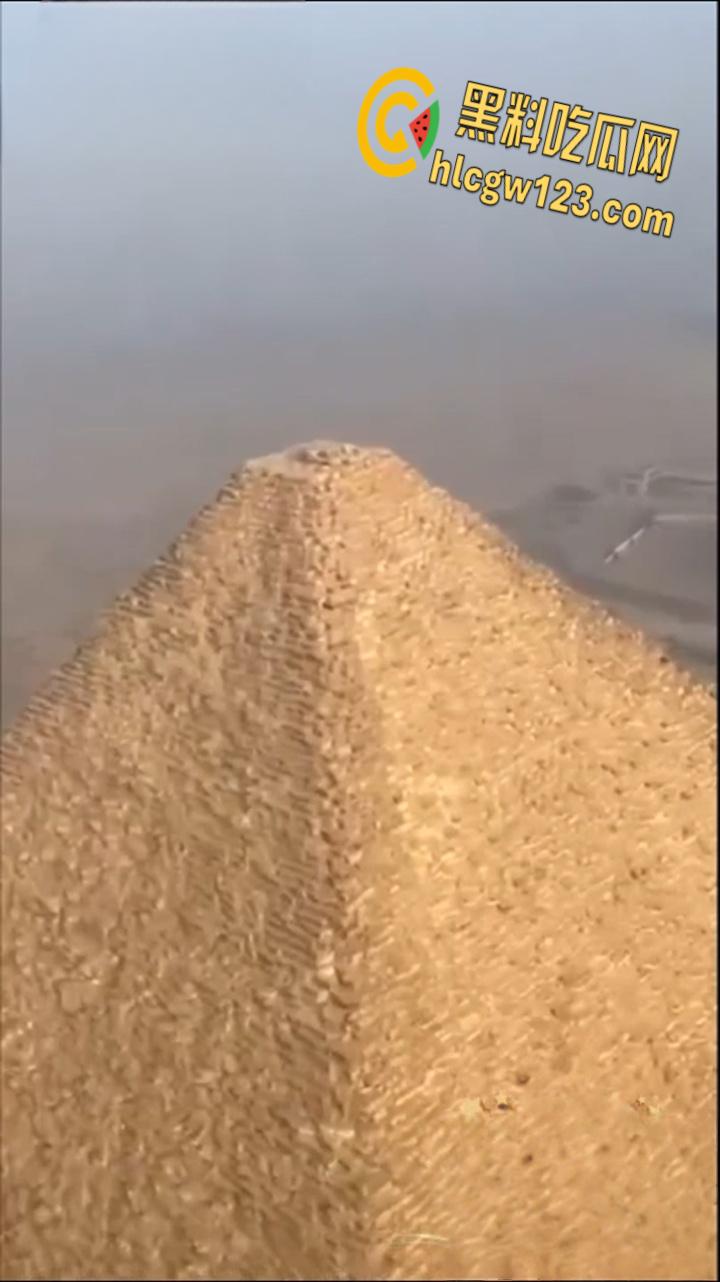 狗狗硬爬126米金字塔顶,狂吠耍帅当“法老”,稳稳下塔震惊全球!-3