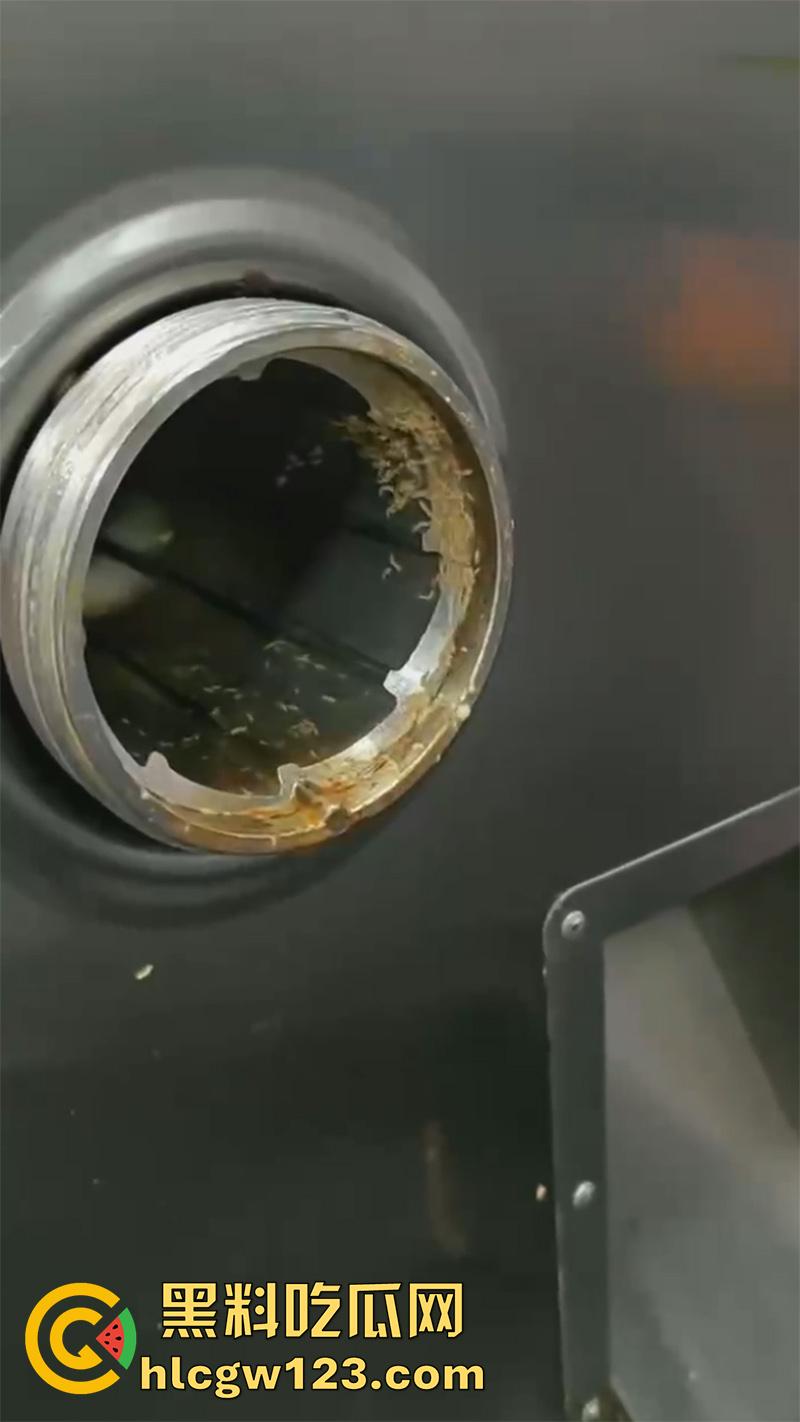 姚北实验学校食堂暴雷，绞肉机里蛆虫密集，被偷拍后将其曝光，太恐怖了实在难以置信！-7