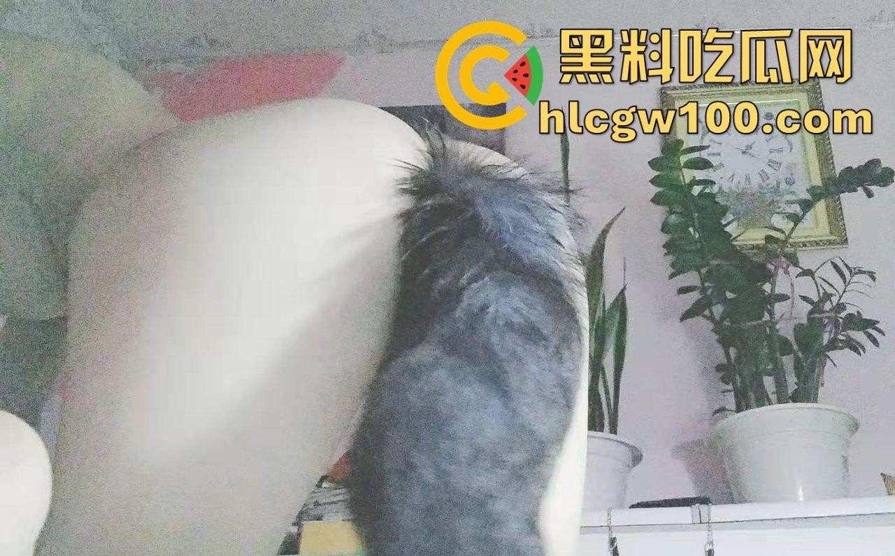 南通实验中学高三学生【宋倩】偷情视频曝光，课余时间厕所口交大战，主打一个刺激！-13