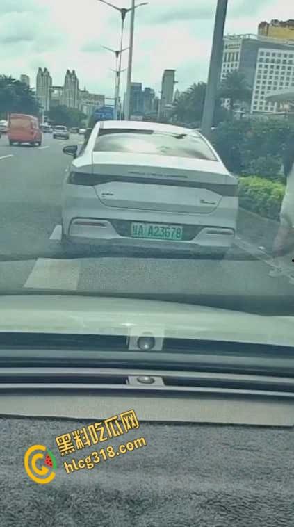 广西南宁街边桂A23678，车上女子下车蹲在马路上，脱掉连衣裙就开始拉！-1