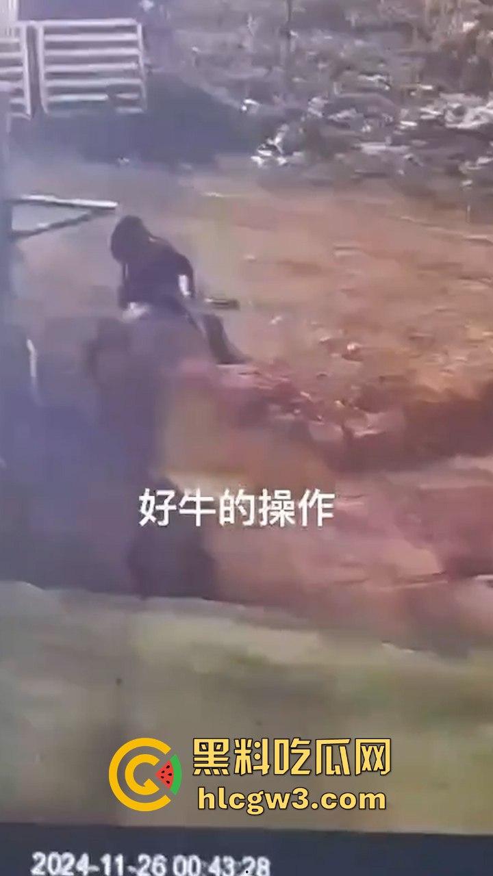 真实操兽：饥渴小哥不吹牛逼操牛逼 拔屌暴插大母牛 省钱免费逼还大 论狠人你是第一人！-2