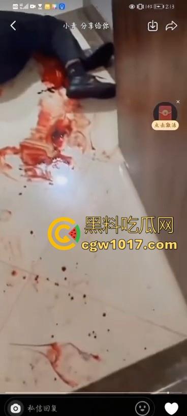 不是现在的东北精神小伙狠人这么多的吗!上门寻仇直接掏出大刀狂捅,地下躺着一个手里还捅着一个,这是要血洗啊!-10