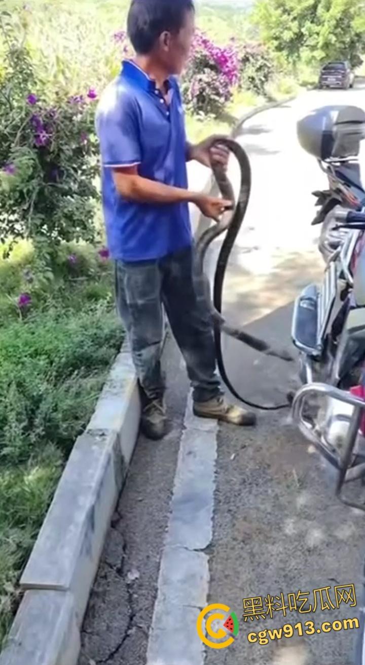 贵州男子徒手玩耍毒蛇,抽烟炫耀套脖子上到处甩,不料却是眼镜王蛇,最终被咬后两个小时死亡 !-1