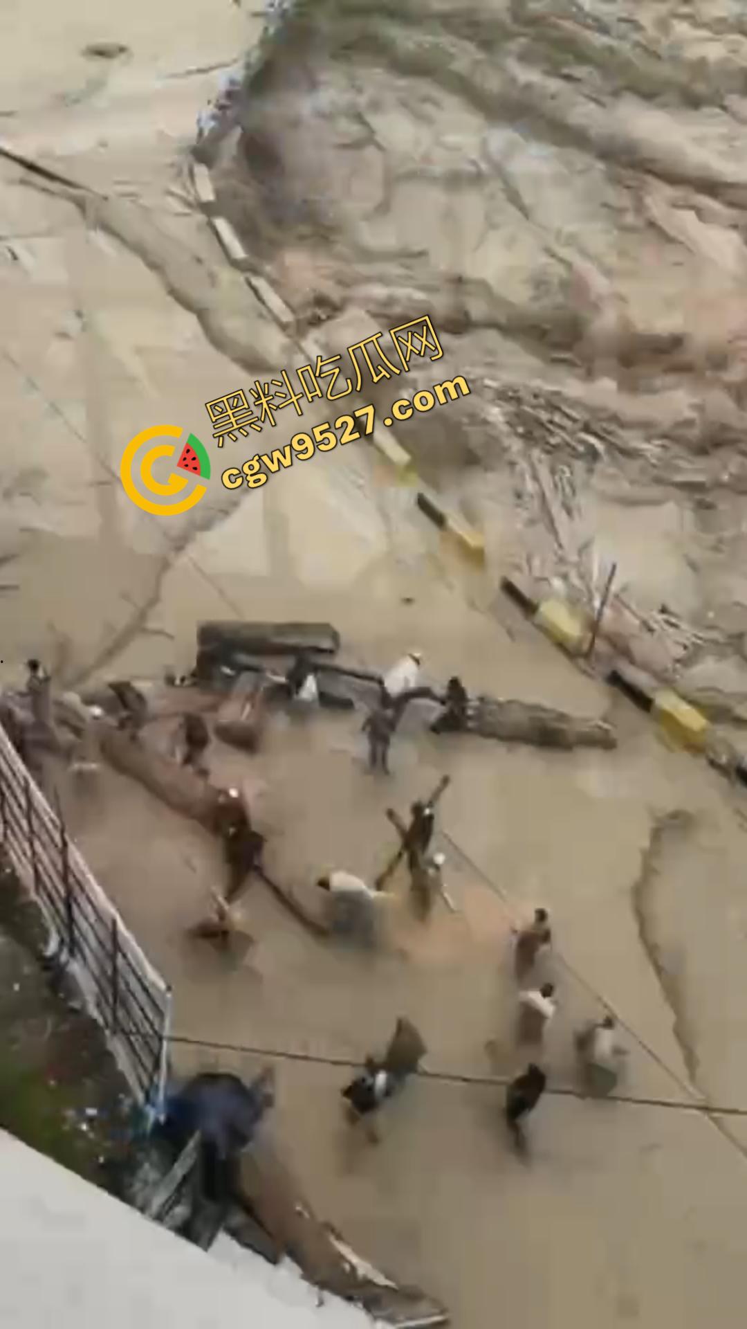 国外大瓜！巴基斯坦洪灾肆虐，千人死亡，牲畜死伤惨重，全国超半数地区被淹！-5