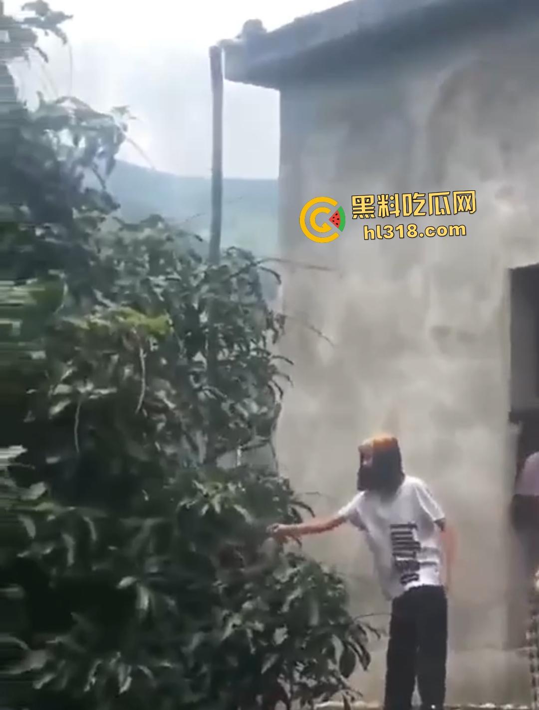 集美组团偷芒果翻车！白衣女孩瓦房“跳关”坠落陷阱，谁知这却是房主故意的陷阱！-8