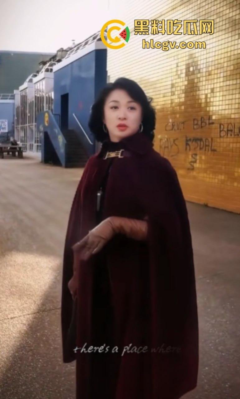 【金星】之流的苍蝇如果只是在屎上爬!那没人管你 可要是坚持飞到桌子上就必须彻底拍死!-13