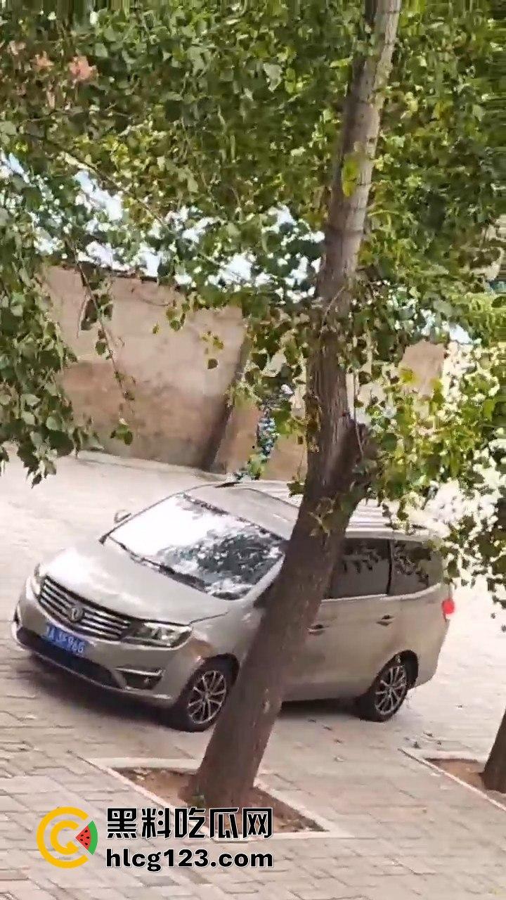 大一军训日逼梦碎！男生硬拉妹子进小树林，裤子刚脱就被拒，差点就地开干！-6