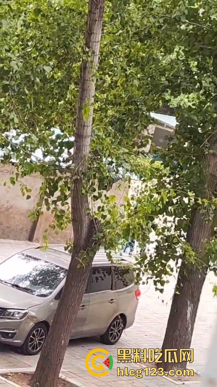 大一军训日逼梦碎！男生硬拉妹子进小树林，裤子刚脱就被拒，差点就地开干！-12