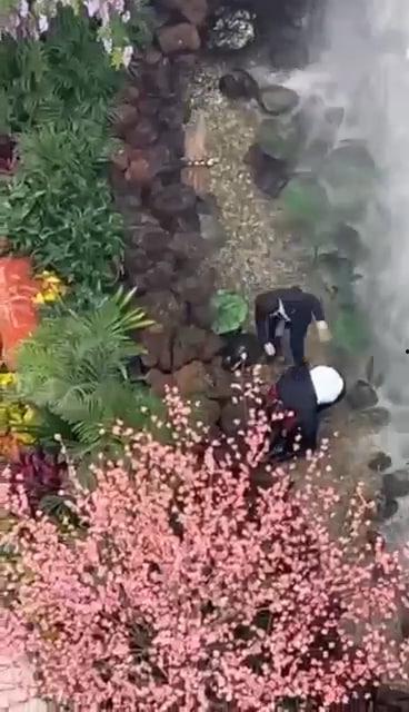 西安赛格跳楼事件 一女子从赛格 7 层坠入负二层 疑似与老公吵架一时想不开-1