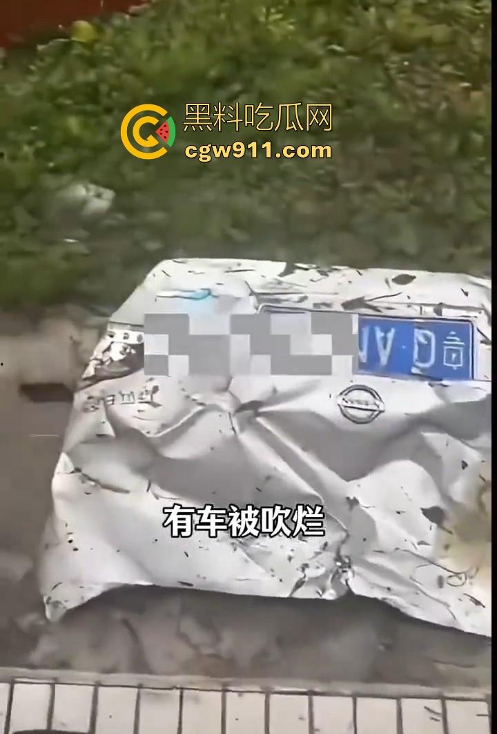 最强的超级台风【桦加沙】登陆阳江后的真实状况，到处都是被吹到的树玻璃，人类在大自然面前是多么渺小啊！-4