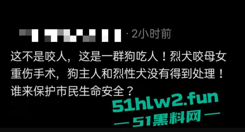 江西赣州四条大型犬公园撕咬母女原视频，狗主人拒绝赔偿系当地小老板，引起了广大网友们热议。-2