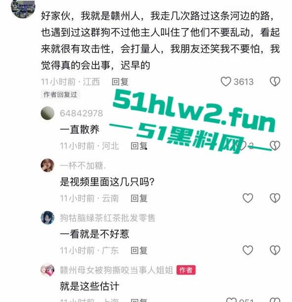 江西赣州四条大型犬公园撕咬母女原视频，狗主人拒绝赔偿系当地小老板，引起了广大网友们热议。-13
