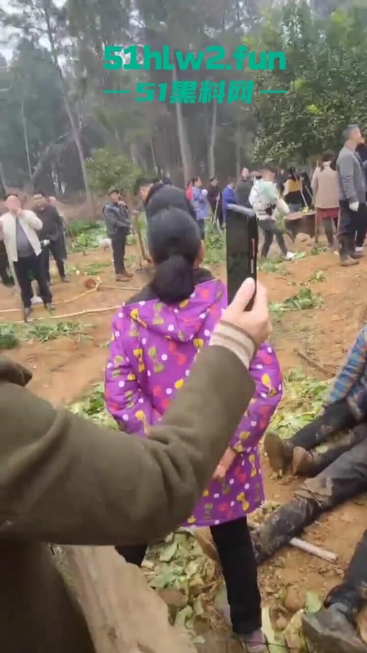 湖南衡阳李花村和添枝村互殴，数名外姓移门村民被打晕倒地不起，现场实拍流出。-8