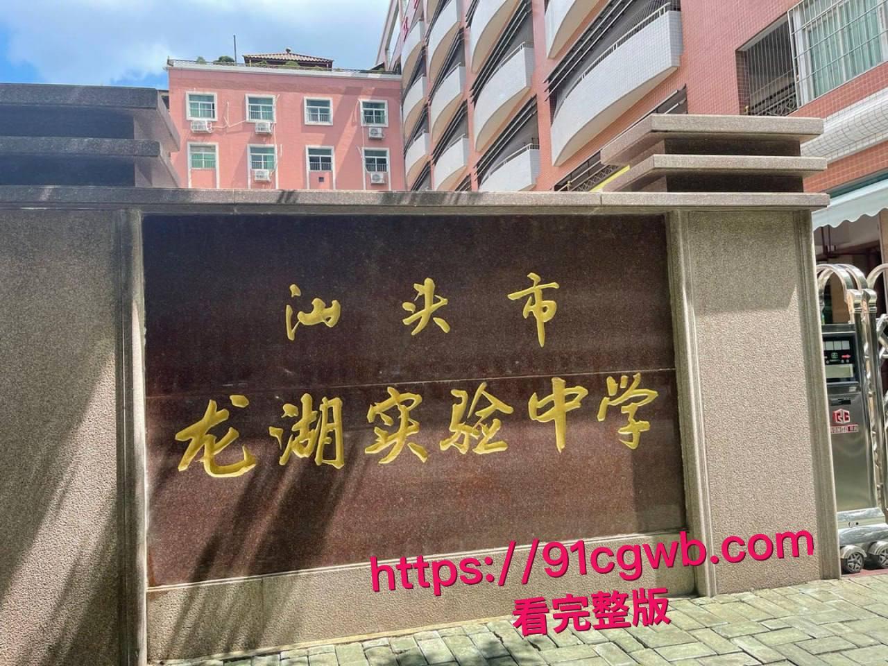 广东汕头龙湖区中学校园霸凌惊魂！一群精神小妹暴打内向乖乖女-3