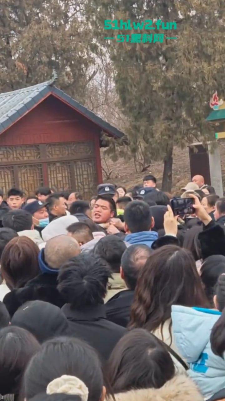 过年出游成风气，路见不平先插队！河南景区多次发生打架事件激烈打斗场面比表演还好看。-4
