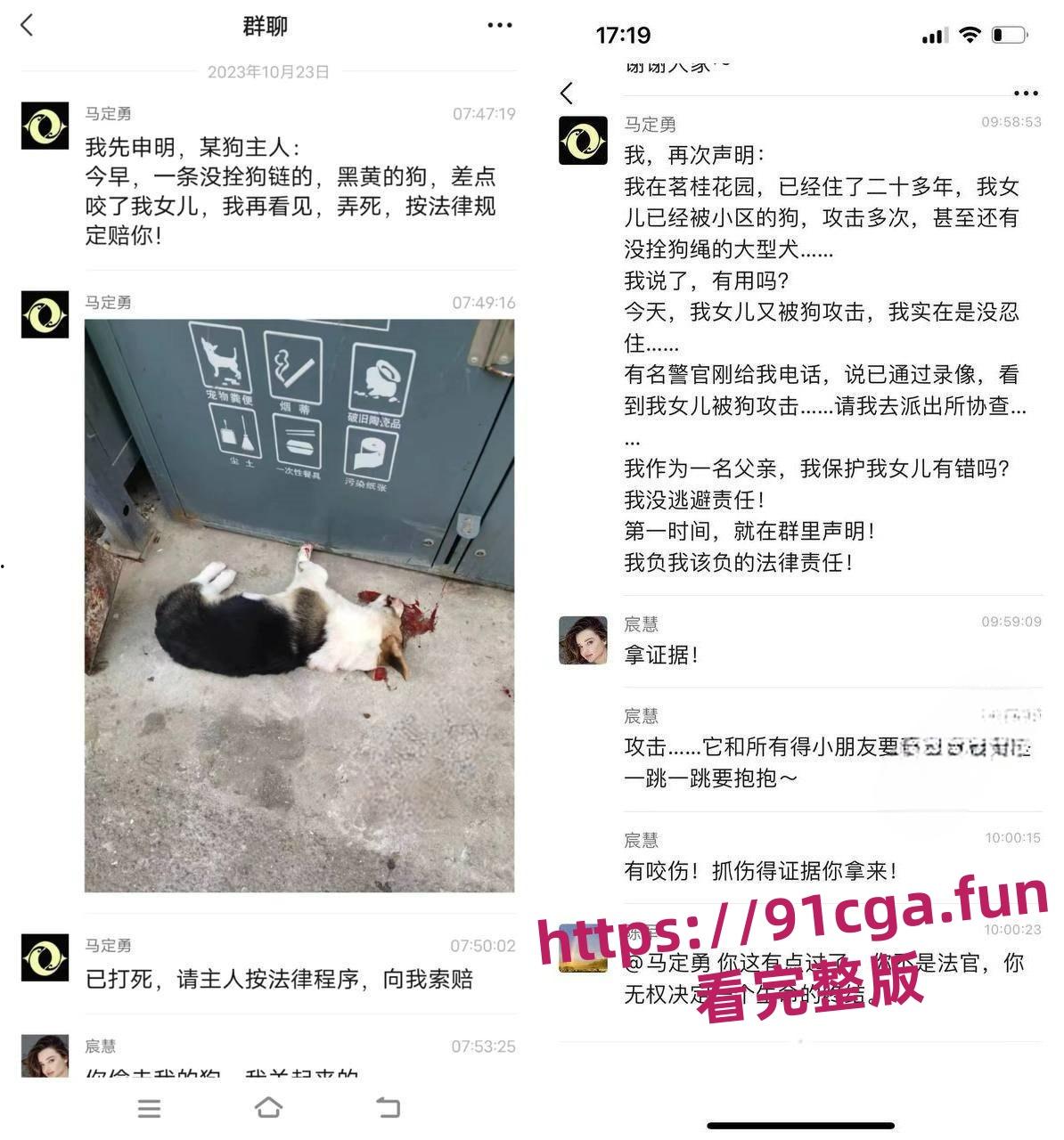 安徽宣城5月龄小柯基扑向孩子 家长拿铁锹活活把狗拍死！-4