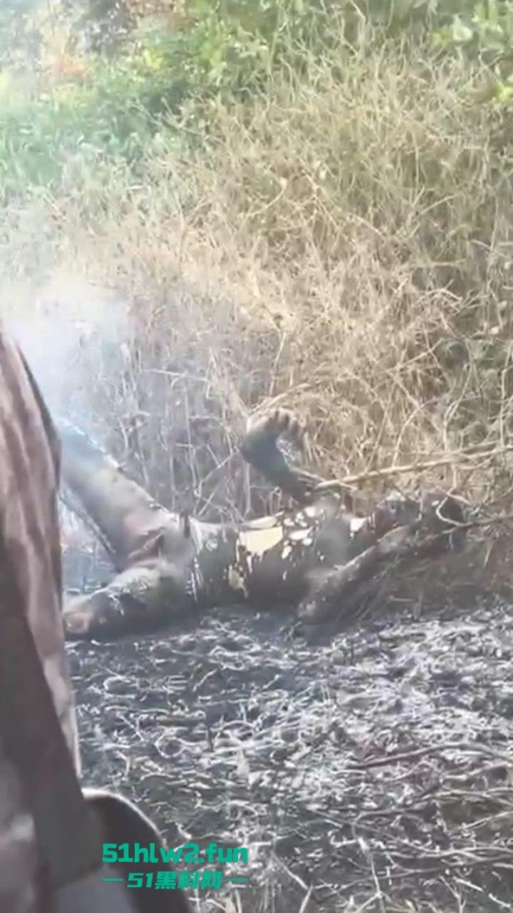 柬埔寨金边【坎达尔】惊现一燃烧尸体，尸体呈扭曲僵硬状态，疑似园区猪仔被毁尸灭迹？-8