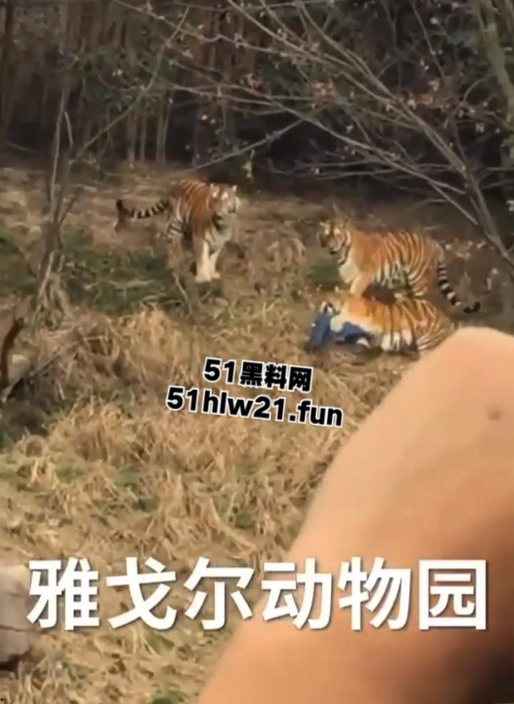 浙江宁波雅戈尔动物园，男子翻越围墙遭老虎攻击致死，老虎遭警方枪杀，园方称死者并没有买票。-2