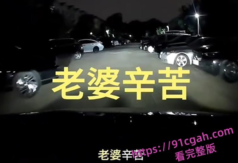 天津男子查看妻子行车记录仪 竟意外发现老婆与孩子老师出轨约炮 车内各种激吻调情-6