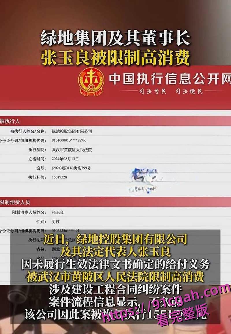 上海绿地集团董事长总裁张玉良性丑闻 张玉良吸毒 带女秘书去KTV裸嗨！-4