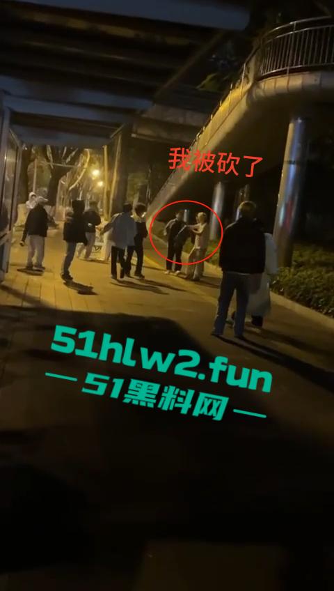 网传两群精神小伙天桥下约架，谁跳砍谁蒙面刀客低调上场，人狠话不多提起就是一刀儿。-1