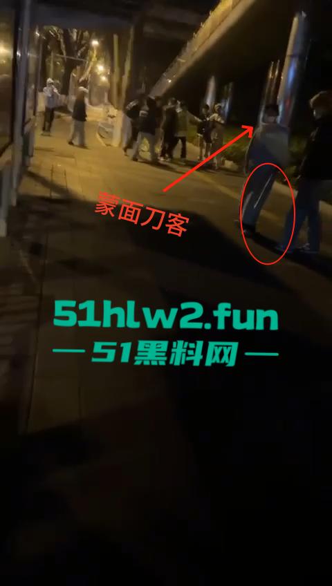 网传两群精神小伙天桥下约架，谁跳砍谁蒙面刀客低调上场，人狠话不多提起就是一刀儿。-5