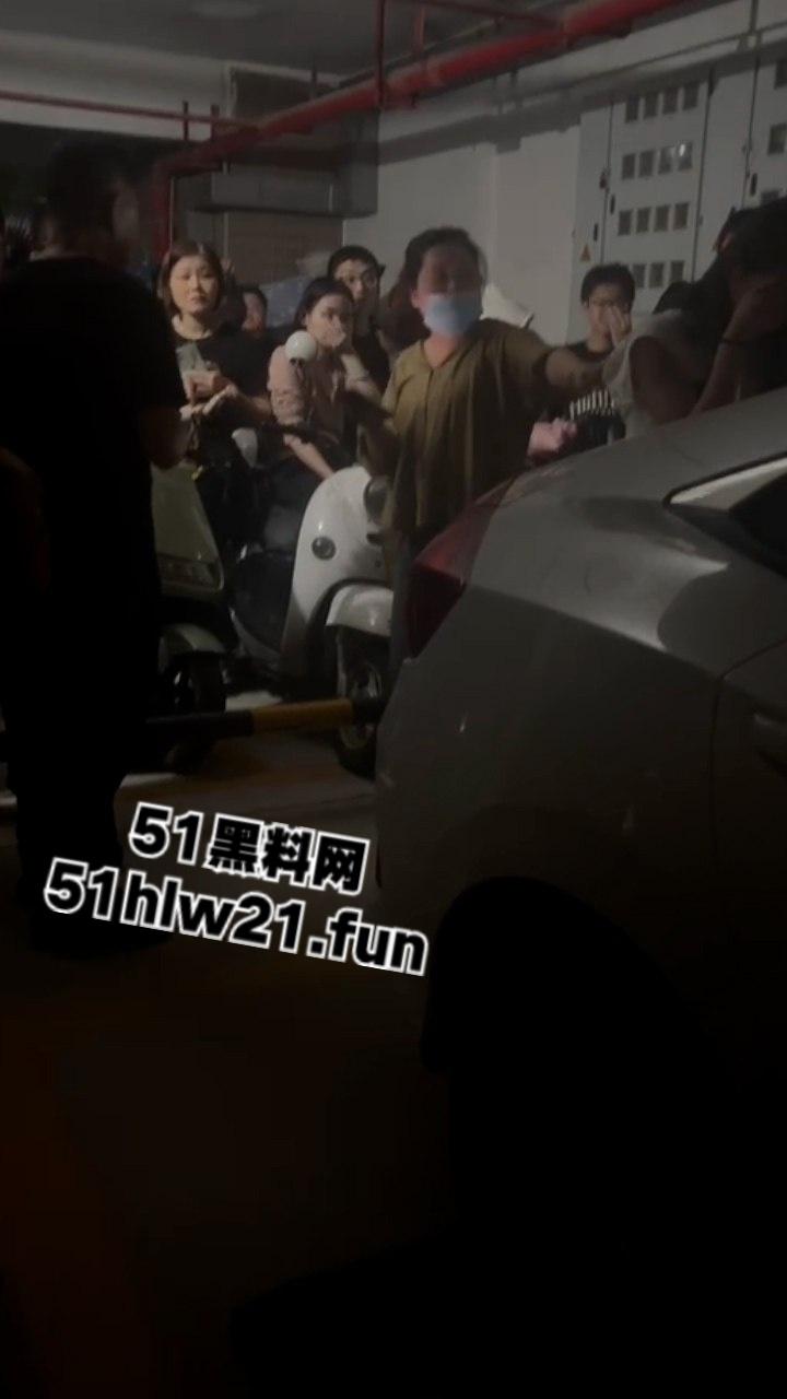 广东无耻小三女偷腥卖骚勾引男人，被原配当街扇脸暴揍，拎着头发让大家好好欣赏这张骚脸。-2