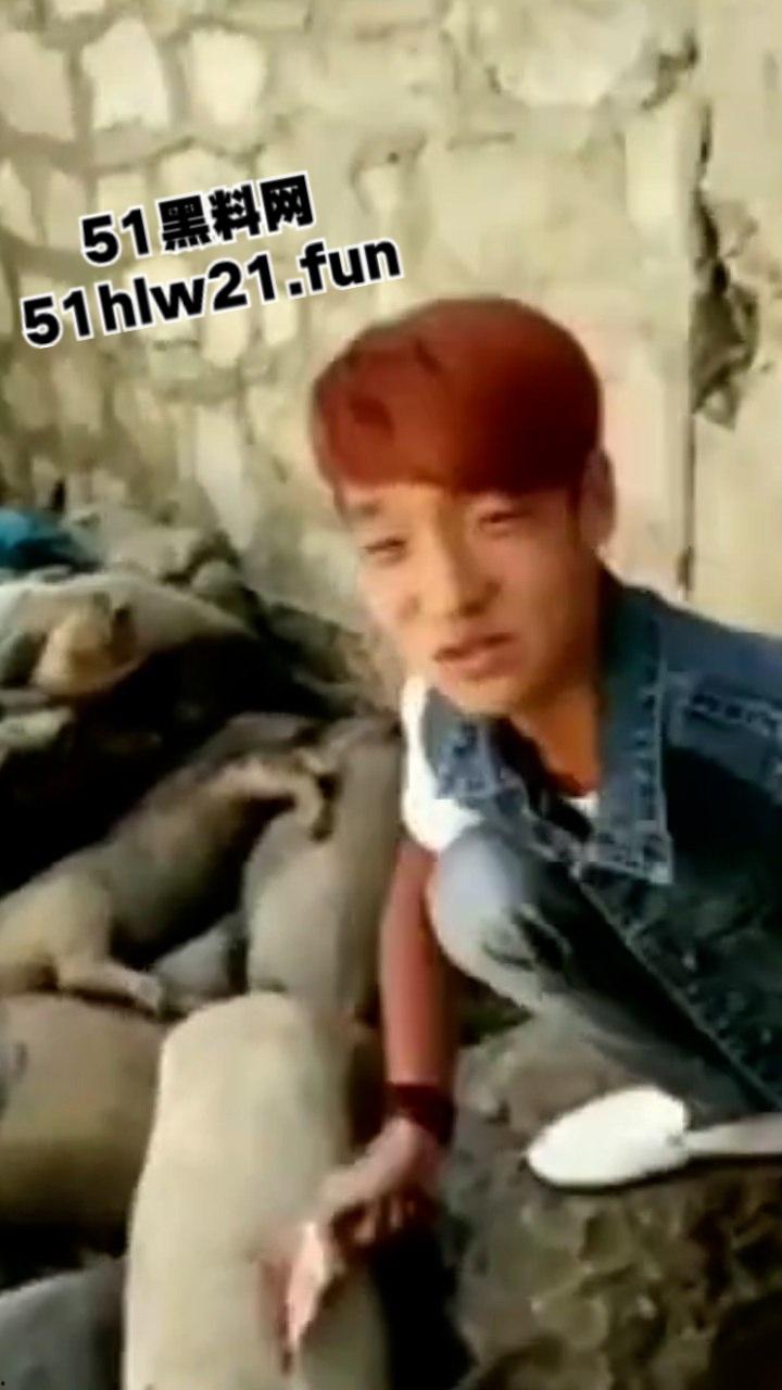 重口慎点！快手小哥炸裂生吃各种活物合集，活鸽子活麻雀死猪菜花蛇，哥们儿还活着吗？-7